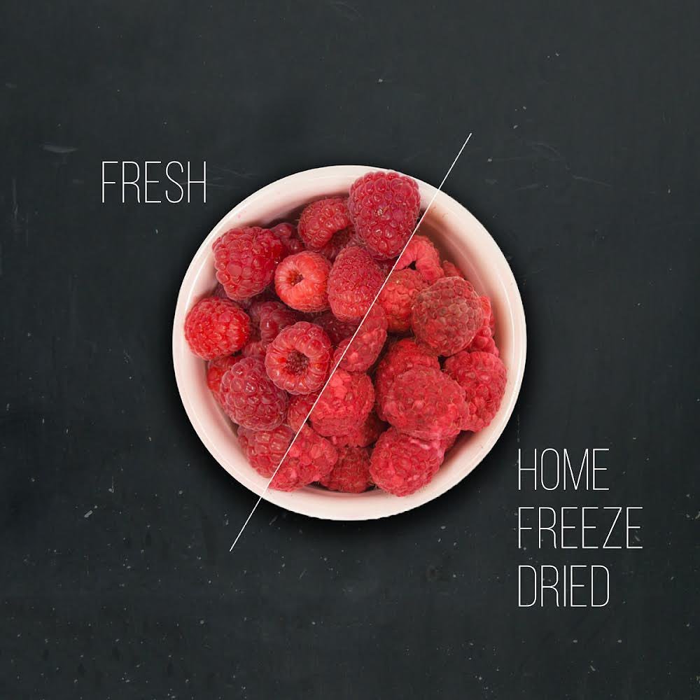 freezedryer.us.com/
